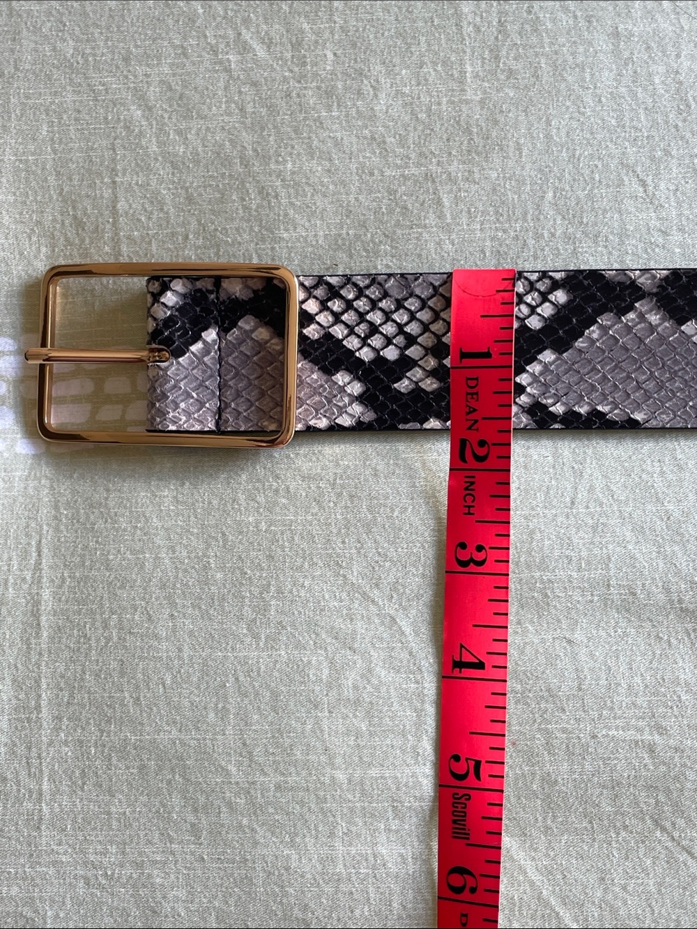 B-Low The Belt Snakeskin Print Leather Belt with Gold Buckle - Picture 4 of 4